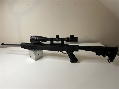 Ruger 10/22