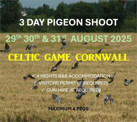 3 Day Cornish Pigeon Shoot