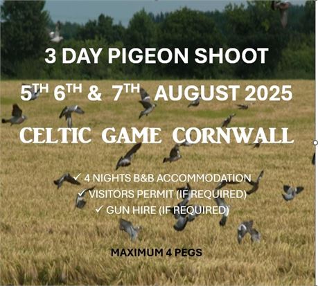 3 Day Cornish Pigeon Shoot